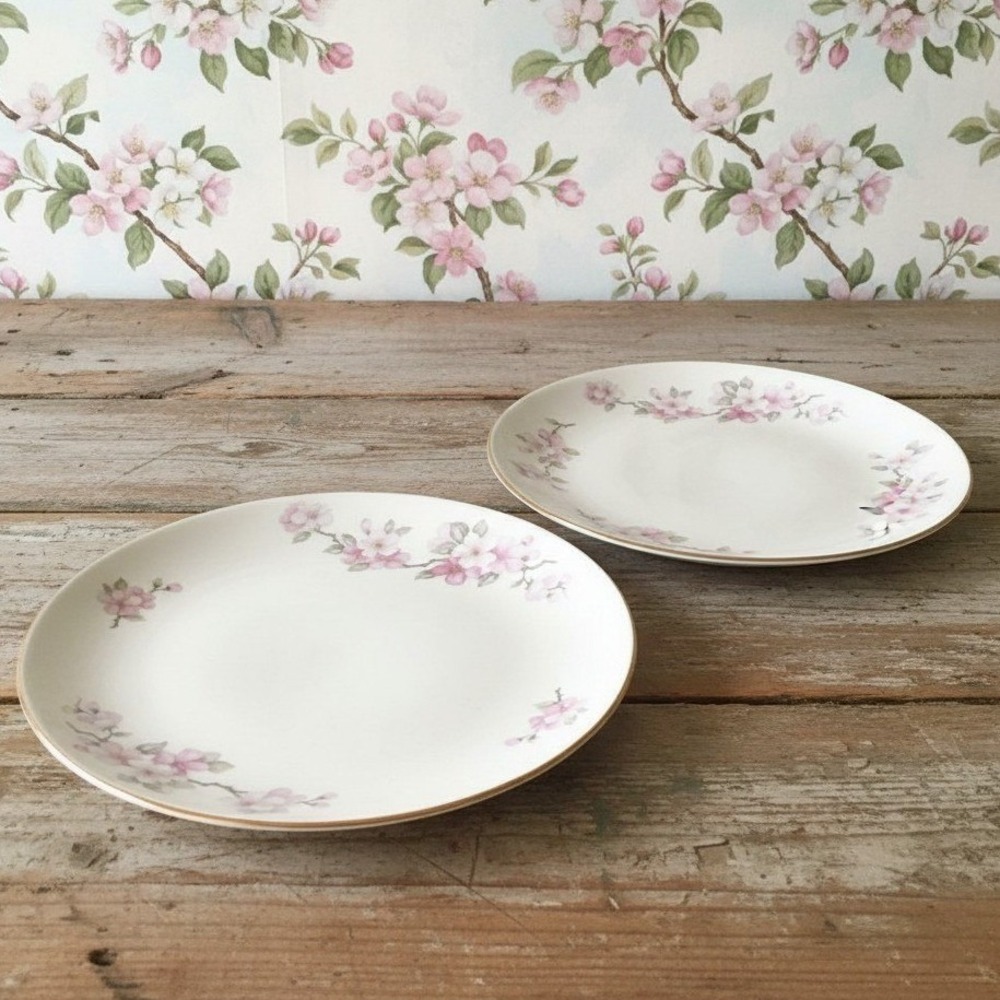 Homer Laughlin Rhythm Pink Apple Blossom Salad Plates Set of 2 Vintage F51 N 4
